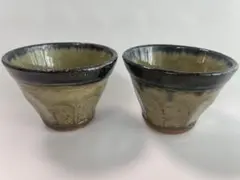 Item thumbnail for item 6060859a-acbb-472a-9f05-f926d037a029