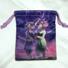 ディズニーストア ズートピア シークレット巾着