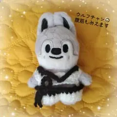 skzoo 10cm ぬい服② KARMA ウルフチャン バンチャン