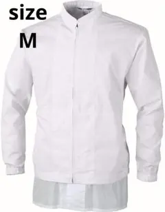 Item thumbnail for item 4afab30c-88b3-4478-8ef3-1d53392027e9