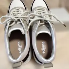 プラスダイアナ 25