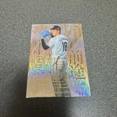 阪神タイガース　甲子園限定　コラボグルメ　直筆サインカード　大山悠輔 阪神タイガース 甲子園限定 コラボグルメ 直筆サインカード 大山悠輔