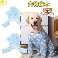 Item thumbnail for item 6254d268-a1df-4dce-ae2a-c5e32ade3017