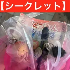 こびとずかん めじるしフレンズ2 シークレット　カクレモモジリのサムネイル