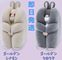 すきまハムスター2★ゴールデンクロクマ＋シナモン★ガチャ★フィギュア☆フロッキー