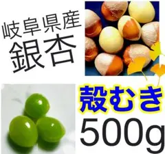 岐阜県産　銀杏　大粒500g 殻むき‼️のサムネイル