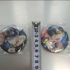 2点セット 缶バッジ バッチ 6cm エイリアンステージ ティル イヴァン