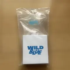 新品・未使用】WILD BLUE ペンライト - メルカリ