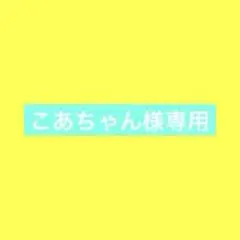 こあちゃん様専用
