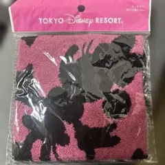 東京ディズニーリゾート ミニタオル 約25cm