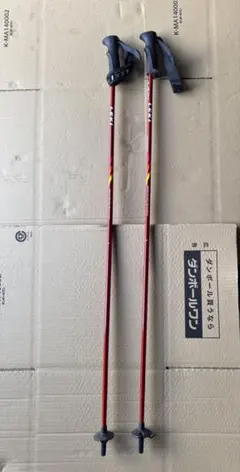 Item thumbnail for item 880388f2-10b0-4a49-821d-fb1b9693b19c