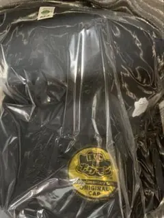 ぽこあポケモン エディオン 特典『オリジナルキャップ（メタモン）』 ぽこポケ