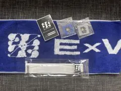 ExWHYZ GIVE YOU MY WORD Card mikina maho - メルカリ