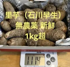 2025年最新】里芋の人気アイテム - メルカリ