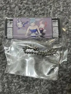 VSオムニバスアルティメット ブルマ アクリルチャーム