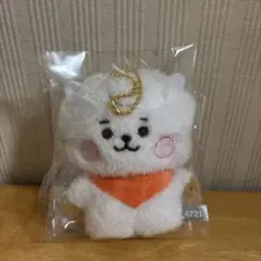 2025年最新】たっとん bt21 rjの人気アイテム - メルカリ