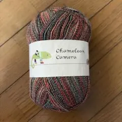 Chameleon Camera 毛糸 ソックヤーン　Italy製