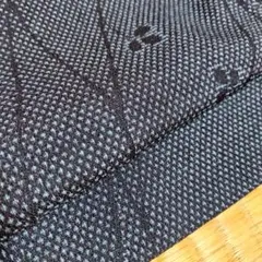 小紋着物　単衣　広衿　正絹　居敷当て　塩沢風　裄65cm　丈157.5cm