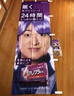 大野智　アレグラ　販促用　のぼり　☆非売品☆ 嵐 大野智/アレグラFX のぼり旗＆パンフレット3冊 - メルカリ