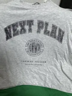 ザラ　ZARA メンズ　Tシャツ Lサイズ グレー