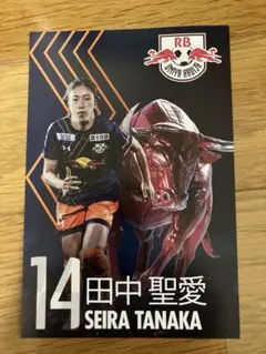 田中聖愛 14番 RBアルディージャ　ポストカード