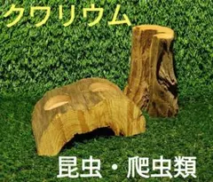 昆虫隠れ家 樹洞 ウロ インセクトシェルター 登り木 クワリウム