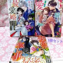 マーメイド文庫の人気シリーズ、後宮の隠し事など3冊セット　ライトノベル