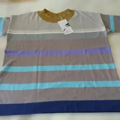 Item thumbnail for item 106997d4-021e-4f05-aa37-c1e78719fced