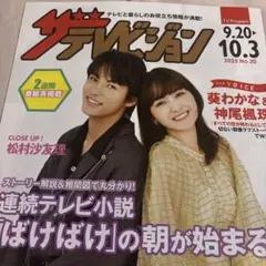 ザテレビジョン 日本生命配布