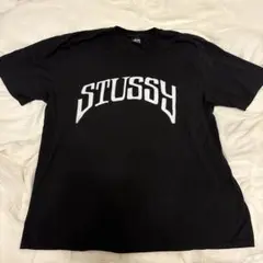 STUSSY ブラック Tシャツ Lサイズ