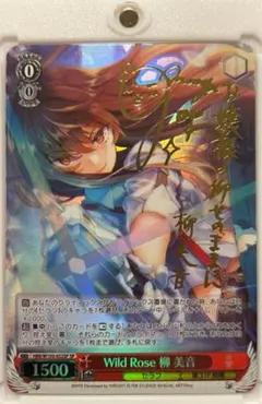 2025年最新】柳美音 spの人気アイテム - メルカリ