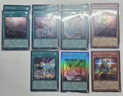 ヒ*ロ様 原石の皇脈/原石の鳴獰/原石の穿光/原石竜 アナザーベリル 11枚セッ