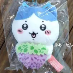 【新品】あしかがフラワーパーク 足利 藤の花 ちいかわ ハチワレ ご当地ちいかわ