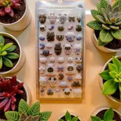 ぷくぷく 3Ｄかわいい コットン フロッキーシール