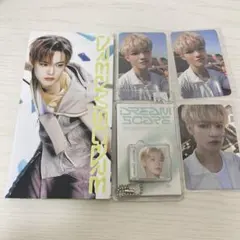 DREAMSCAPE vertical flip SMini チョンロ セット