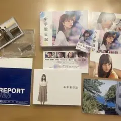 Item thumbnail for item aa26399a-ea56-4c02-ab55-9606c3699a9d