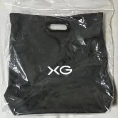 XG レコードバッグ 2026年最新】XGバッグの人気アイテム - メルカリ