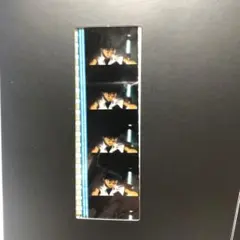 2025年最新】エヴァ 特典 フィルム シンジの人気アイテム - メルカリ