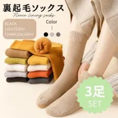 裏起毛ソックス 3足セット 極暖 あったか靴下 ふわふわ 黒　ライト　チャコール