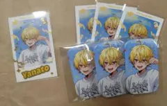 STPR Family すにすて　やなと　缶バッジ チェキ　レア