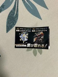 色違いコライドン