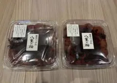 おうすの里 つぶれ梅 八重の梅のサムネイル