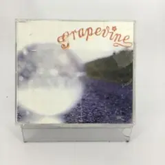 邦楽CDシングル　GRAPEVINE ナツノヒカリ〈セル盤〉　SCDく