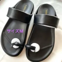 Item thumbnail for item 1c52a76a-c2df-4bdc-9fd6-1dab35b356b9