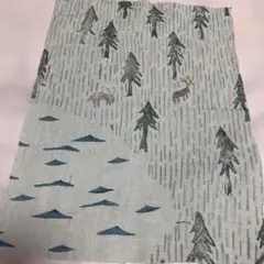 oneday mint はぎれ　ミナペルホネン