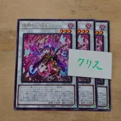 遊戯王カード 燐廻の三弦猫(レア)　3枚セット未使用品