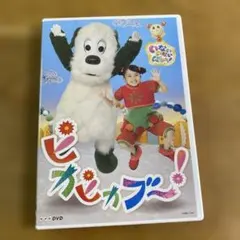 10/13値下げ✴︎いないいないばあっ！ ピカピカブ〜！ DVD