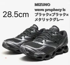 MIZUNO wave prophecy ls 28.5cm 黒×メタリックグレ