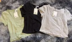 半袖Tシャツ 3色セット