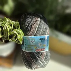 Opal 毛糸 425m 75g 3-fach グレー系